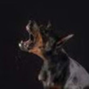 Meet your Posher, Kailey